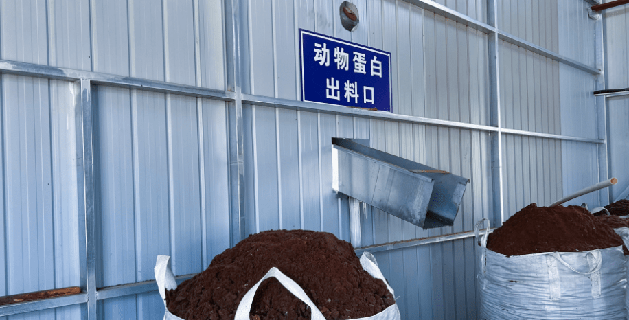 達拉特旗構建“五位一體”病死畜禽無害化處理模式，推動生物有機肥料研發保障食品與生態安全