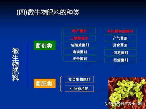 可持續發展之光 有機農業的技術實踐與生物質能的協同發展